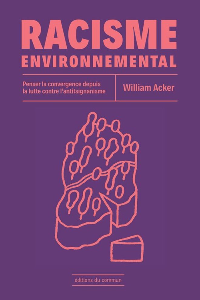 Racisme environnemental