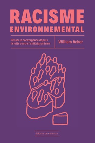 Racisme environnemental